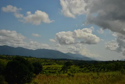 DSC_4391 (Large).JPG